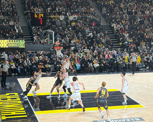 �T�[���ڗ����݂i